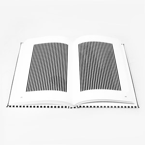 The Book of Black & White - PHANTOMS IN THE BRAIN - Japanese